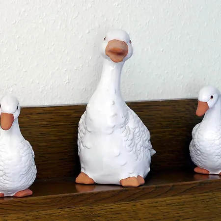 Heidhof Penzion Freiamt