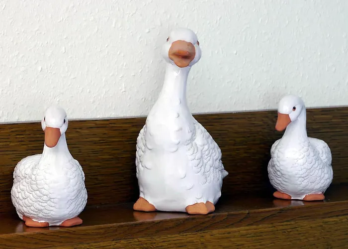 Heidhof Pensionat Freiamt